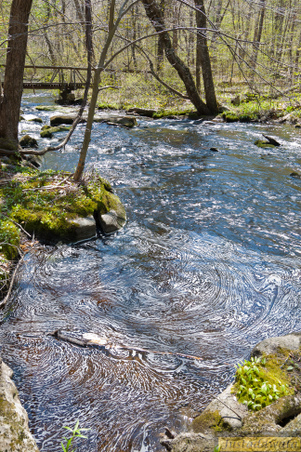 Enlarge photo 126