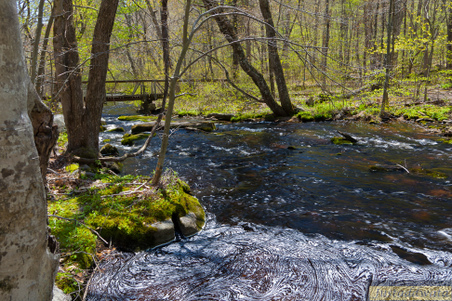 Enlarge photo 127