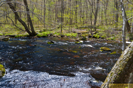 Enlarge photo 128