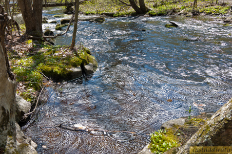 Enlarge photo 129