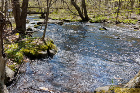 Enlarge photo 130
