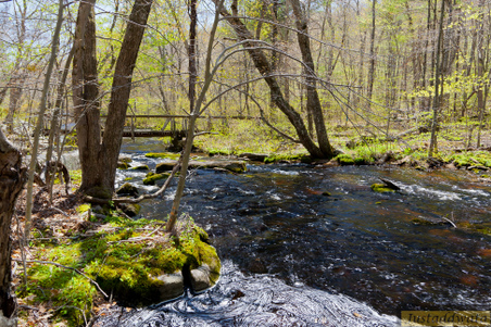 Enlarge photo 131