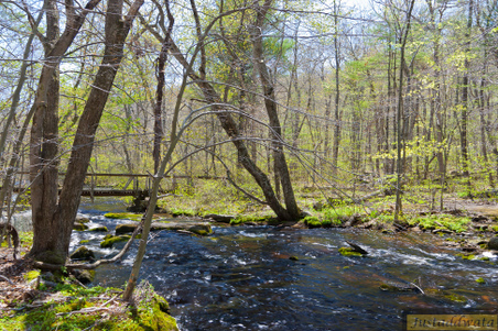 Enlarge photo 132