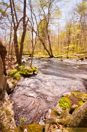Enlarge photo 133