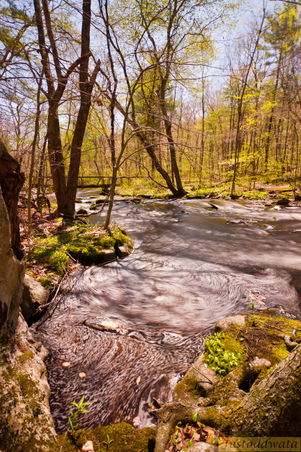 Enlarge photo 134