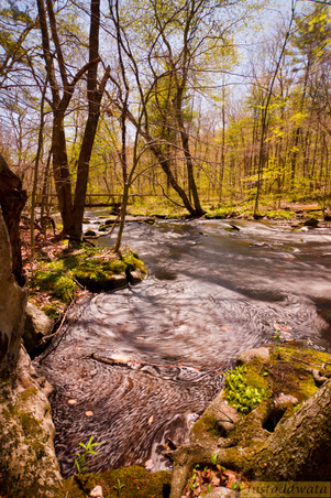 Enlarge photo 135