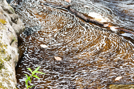 Enlarge photo 137