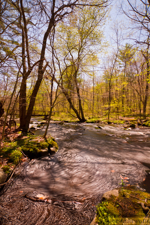 Enlarge photo 138