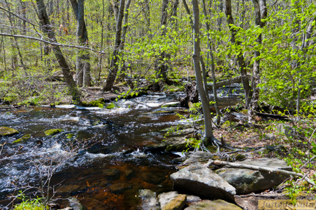 Enlarge photo 141