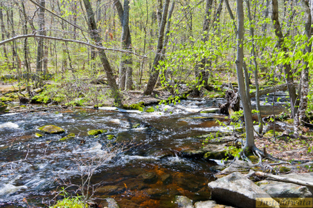 Enlarge photo 142