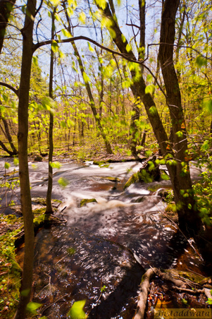 Enlarge photo 143