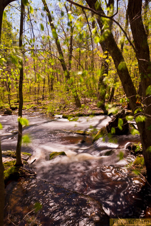 Enlarge photo 144
