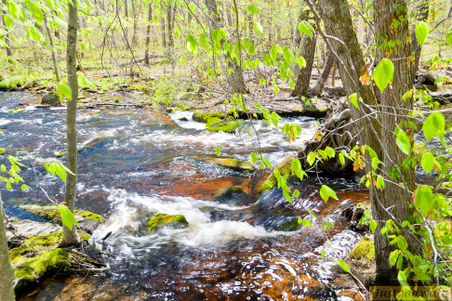 Enlarge photo 145