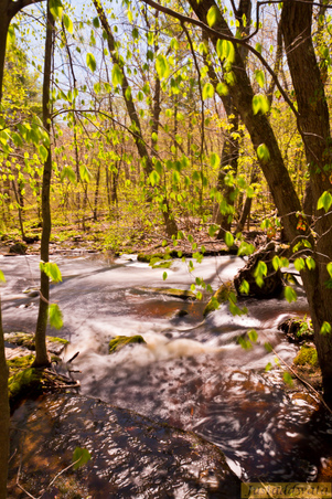 Enlarge photo 146