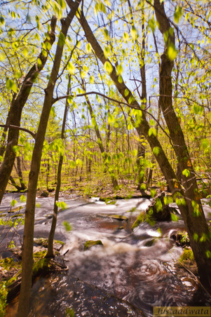 Enlarge photo 149