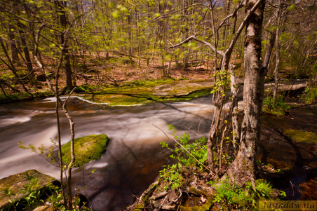 Enlarge photo 155