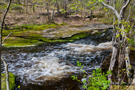 Enlarge photo 156