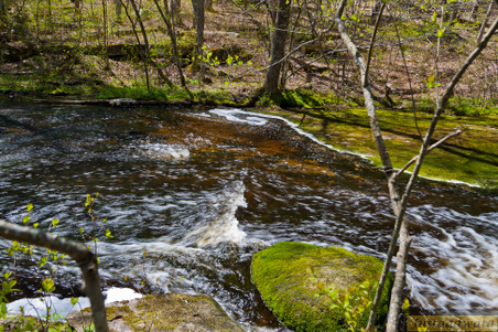 Enlarge photo 157