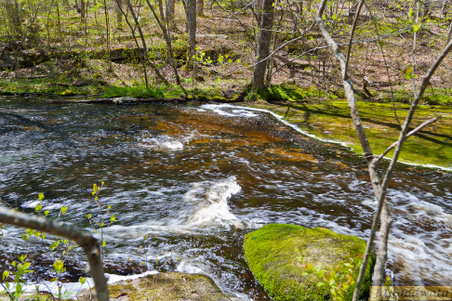 Enlarge photo 158