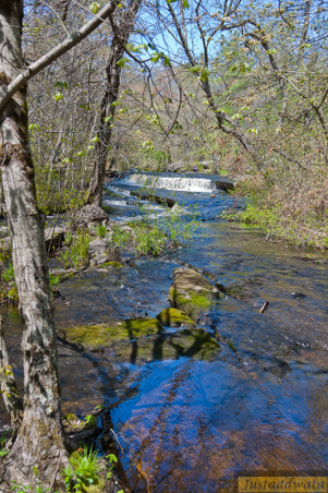 Enlarge photo 159