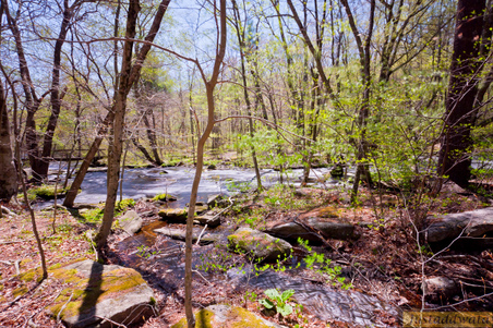 Enlarge photo 165