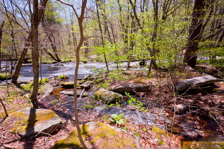 Enlarge photo 166