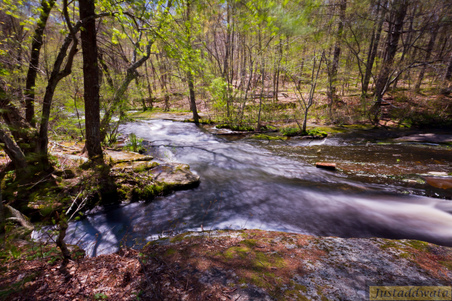 Enlarge photo 167