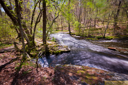 Enlarge photo 168
