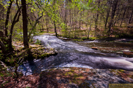 Enlarge photo 169