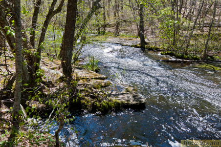 Enlarge photo 170