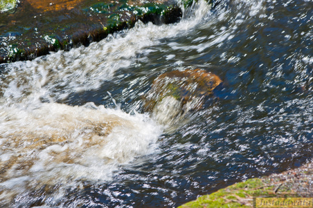 Enlarge photo 173