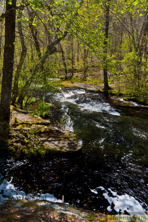 Enlarge photo 174
