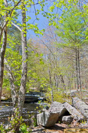 Enlarge photo 179