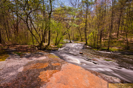 Enlarge photo 181