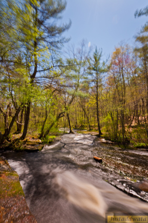 Enlarge photo 193