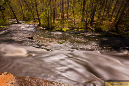 Enlarge photo 194