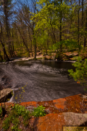 Enlarge photo 197