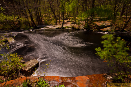 Enlarge photo 202