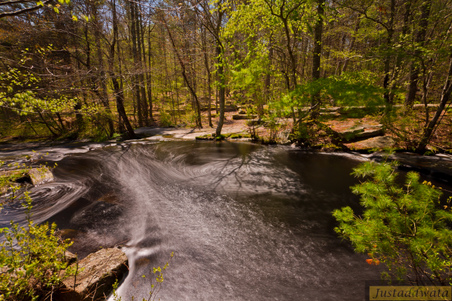Enlarge photo 203