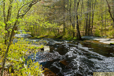 Enlarge photo 204