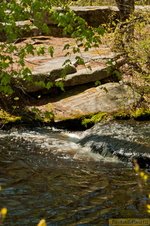 Enlarge photo 206