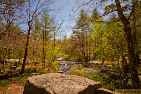 Enlarge photo 207