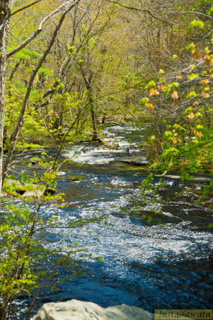 Enlarge photo 220