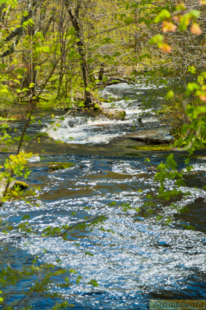 Enlarge photo 222