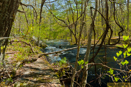 Enlarge photo 225