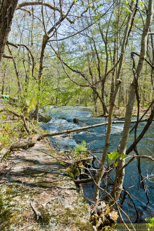 Enlarge photo 226