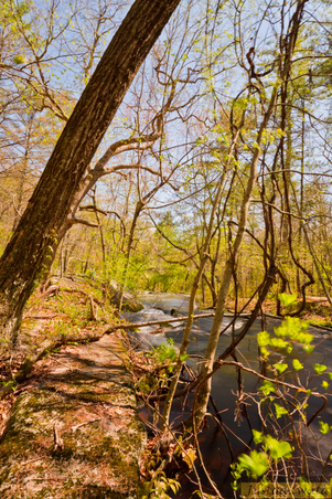 Enlarge photo 229