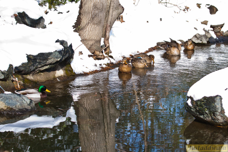 Enlarge photo 46