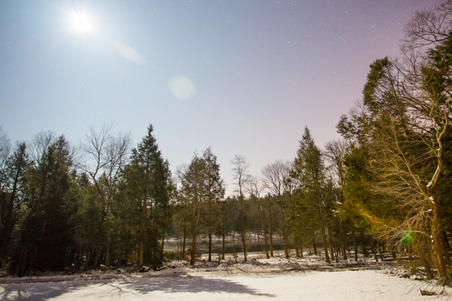 Enlarge photo 7