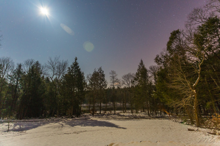 Enlarge photo 8